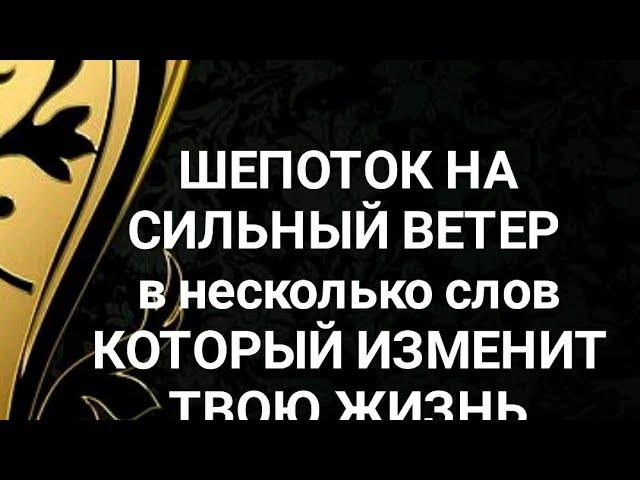 Шепоток на Сильный ветер, который изменит жизнь к лучшему#shorts #обряды #заговоры #обереги