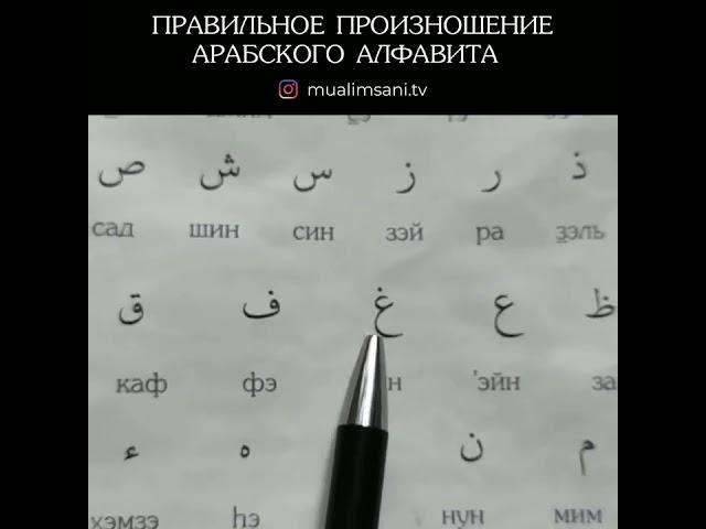 учимся читать таджвид