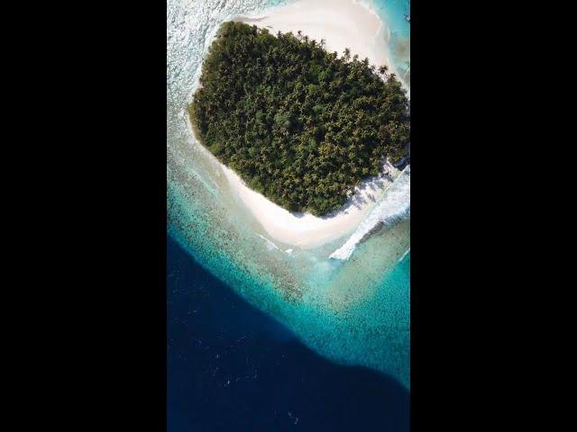 Tranquil moments of the Maldives