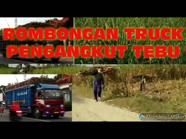 Rombongan Truk Tebu