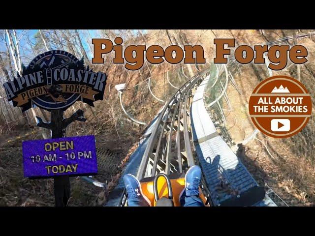 Smoky Mountain Alpine Coaster - Pigeon Forge TN