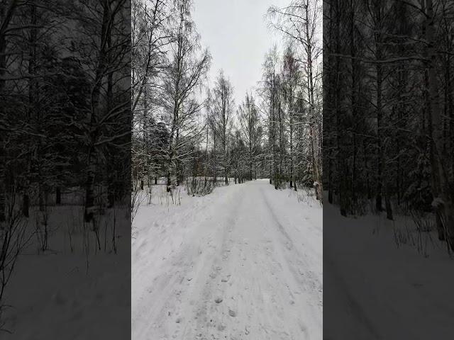 Finnish winter