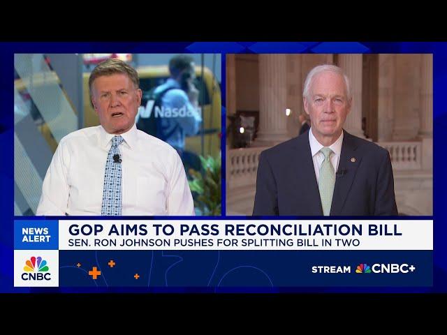 Sen. Ron Johnson on 'immoral' GOP spending bill: This is grotesque what we're doing
