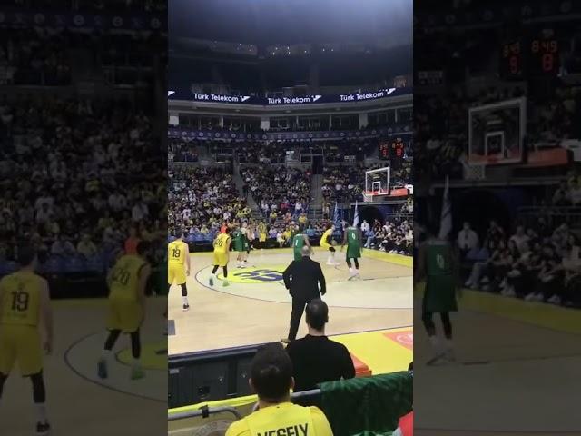 JAN VESELY SMAÇ
