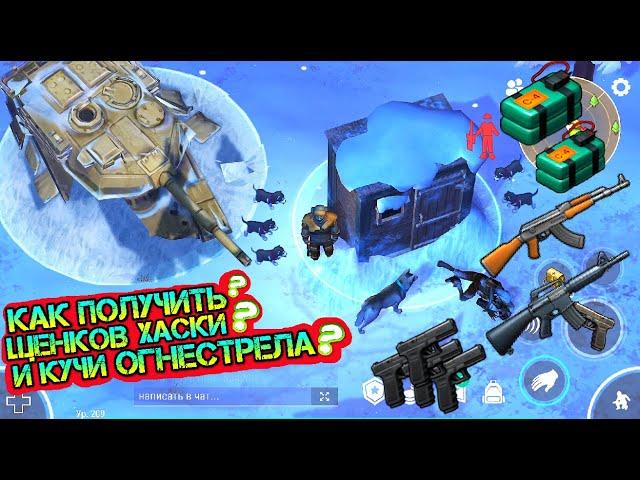 Как получить много огнестрела и щенков Хаски? Самые редкие находки на зимних локациях LDoE