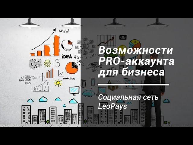 Соцсеть LeoPays -  Статус ПРО для бизнеса