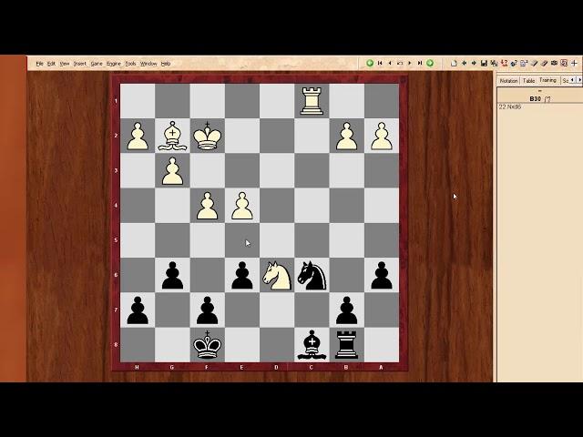 Indian vs Sicilian 4.g3  g6 (Dvoretsky 2)