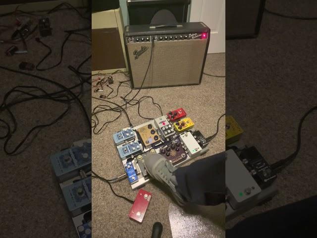 Strymon Flint '60s Reverb vs 1967 Fender Deluxe Reverb