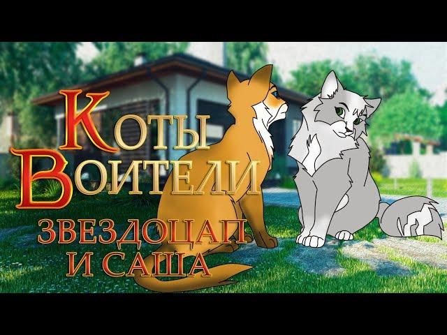 КОТЫ ВОИТЕЛИ | Звездоцап и Саша. 11 серия. Озвучка манги.