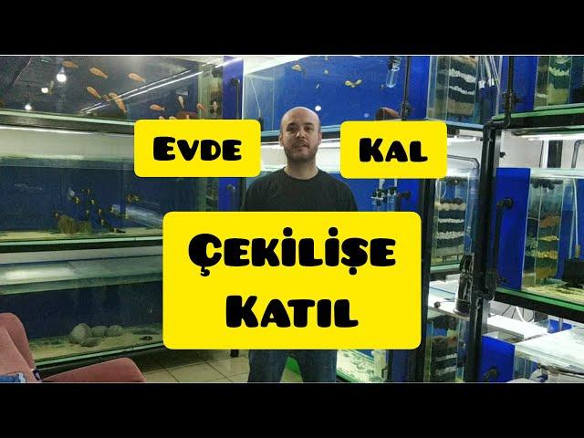 ÇEKİLİŞ VAR... AKVARYUM BALIKLARI ÇEKİLİŞİ... Çekiliş tarihi 27 Nisan'a alındı.