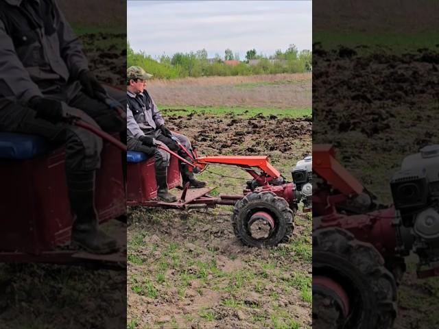 Загруженый мотоблок МТЗ едет по полю #агротехнологии #farming #agriculture