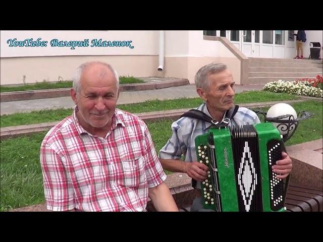 Три старинных польки на баяне!
