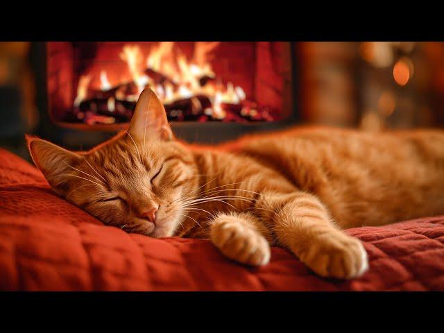 Cozy Cat Purring and Warm Fireplace - ASMR Sounds for Relaxing, Deep Sleep, Healing Insomnia