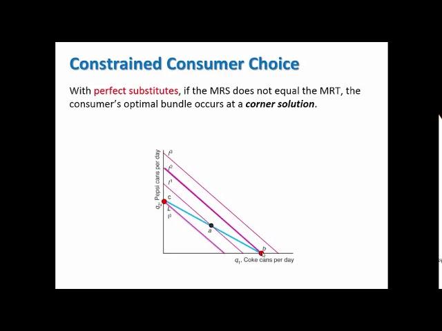 Perfect Substitutes Utility Maximization