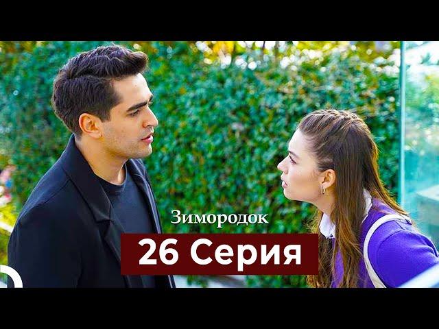 Зимородок 26 Cерия (Русский дубляж)