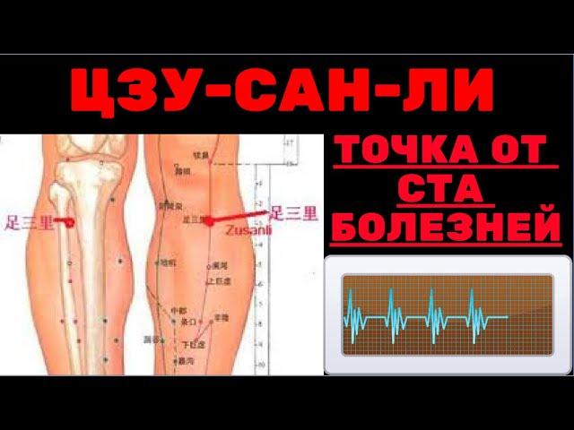 ЦЗУ-САН-ЛИ ТОЧКА ОТ СТА БОЛЕЗНЕЙ. ПОЛЕЗНЫЕ СОВЕТЫ КАК МАССИРОВАТЬ И КАК НАЙТИ.