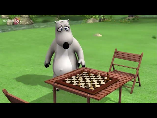 ‍️ BERNARD AND HIS WORST CHESS GAME | Full Episodes | VIDEOS and CARTOONS FOR KIDS