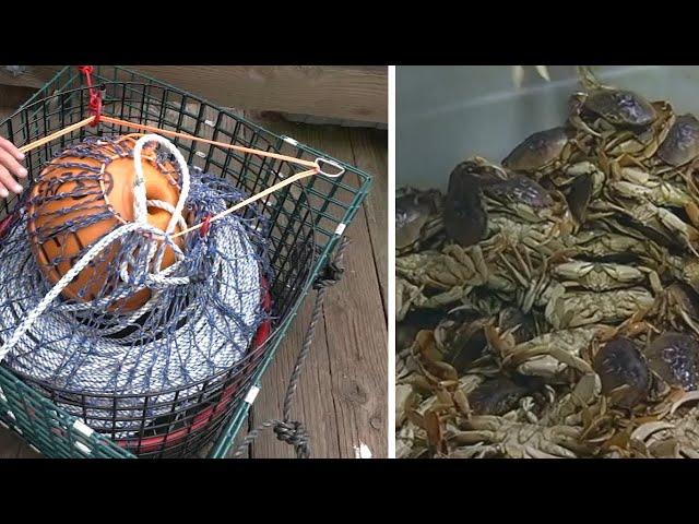 CA expands test of traps to help delayed Bay Area crabbing season: What this means for crabbers