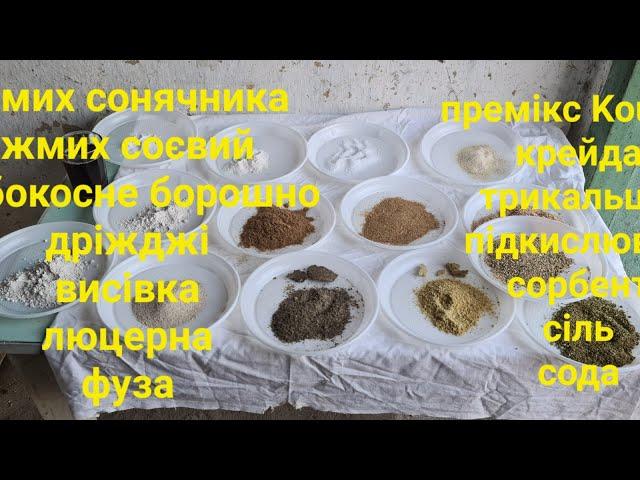 БМВД для кур несучок який працює. Виготовляю на замовлення.