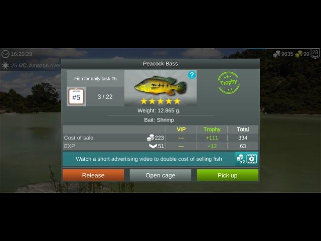 My Fishing World : Павлиний Басс (Ежедневное Задание, Река Амазонка) #myfishingworld