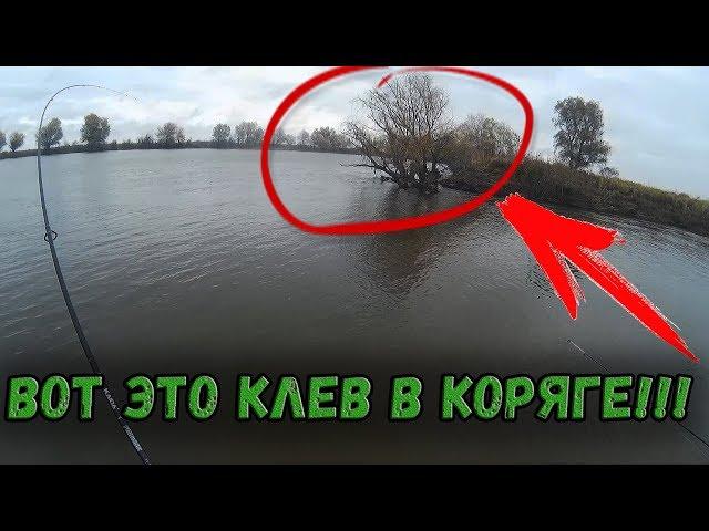 ВОТ ЭТО КЛЕВ В КОРЯГЕ! УЛЬТРАЛАЙТ ЕЛЕ СПРАВЛЯЕТСЯ С НИМИ! РЫБАЛКА С ЛОДКИ НА СПИННИНГ 2017! ЖЕРЕХ