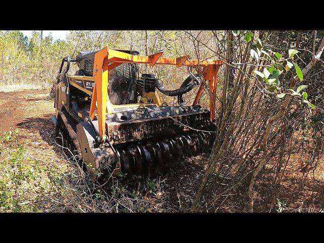 THE JUICE IS LOOSE! Big Munchie Let Loose On These OVERGROWN Food Plots!