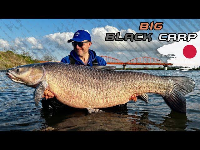 Gábor Döme - Battle with the Giant Black Carp