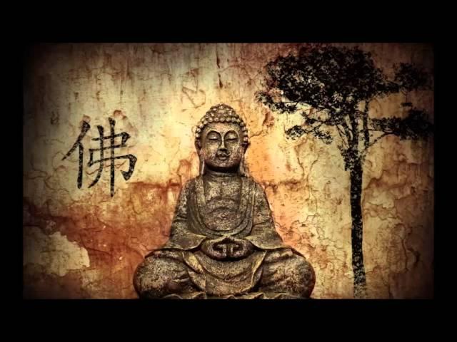 1 Hour | Shakuhachi Meditation Music