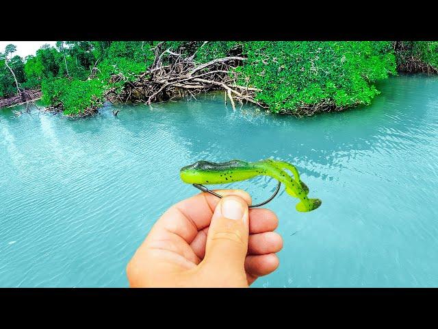 Fishing FROGS in SALTWATER CREEK