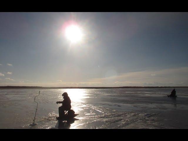 ICE FISHING Baitless jig.Безмотылка на Ладоге. Итоги и снасти  2018 года. Теперь  о приманках.