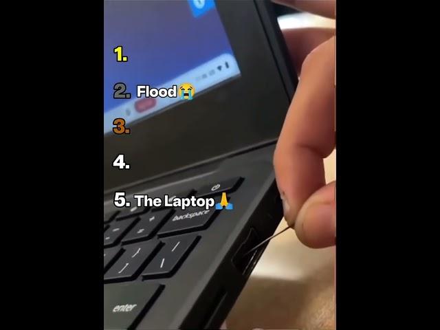 Ranking The Top 5 Best 0.2 GPA Students activity’s