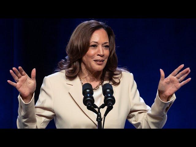 Harris campaign feels ‘very worried’ about dropping support from black male voters