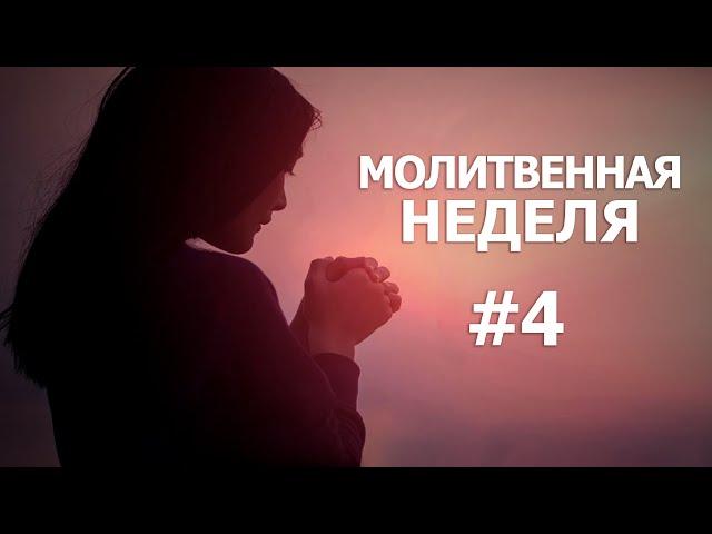 Молитвенная неделя. День 4. "Бог не перестает искать" 24.12.2024