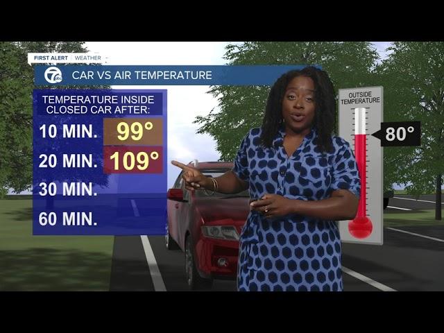 michelle's hot car explainer