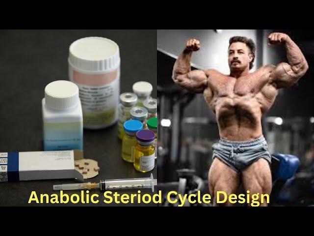 Anabolic Steroid Cycle Design