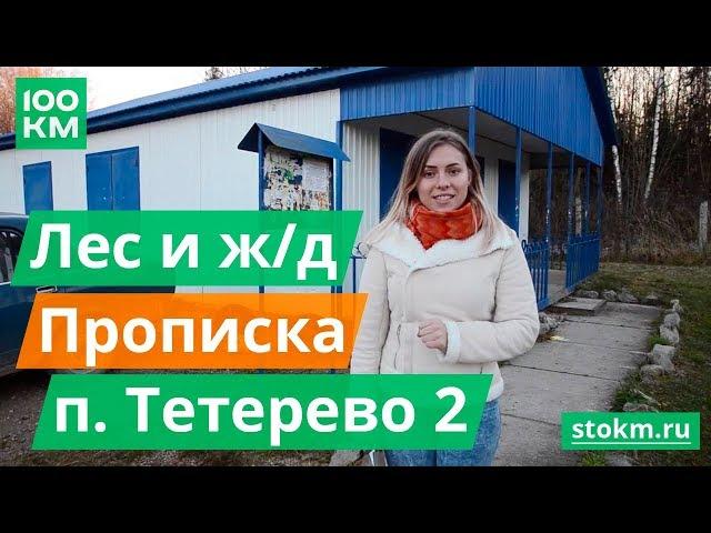 Экскурсия по Тетерево 2. Поселок по симферопольскому шоссе в Заокском районе