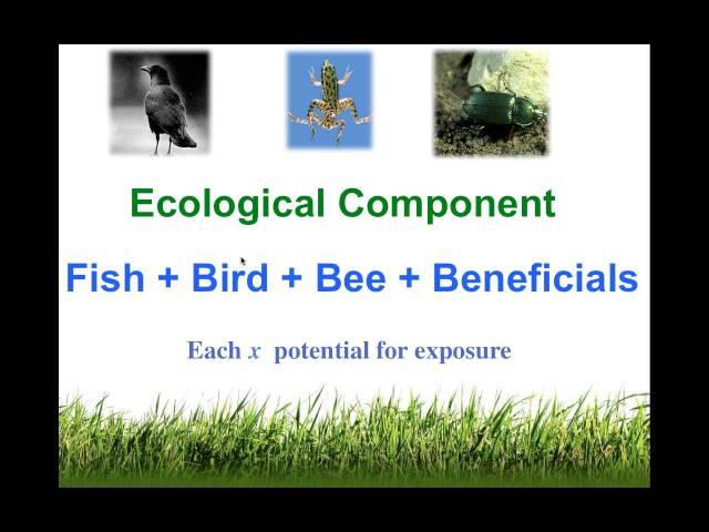 Environmental Impact Quotient: An Introduction