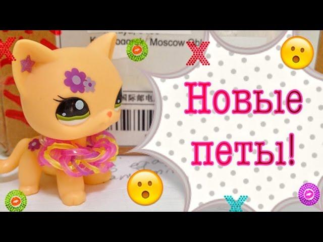 LPS: МЕГА-посылка с Aliexpress. Новинки! Распаковка и обзор!