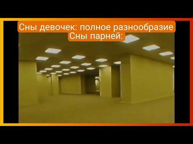 тиктоку приснился сон | подборка мемов