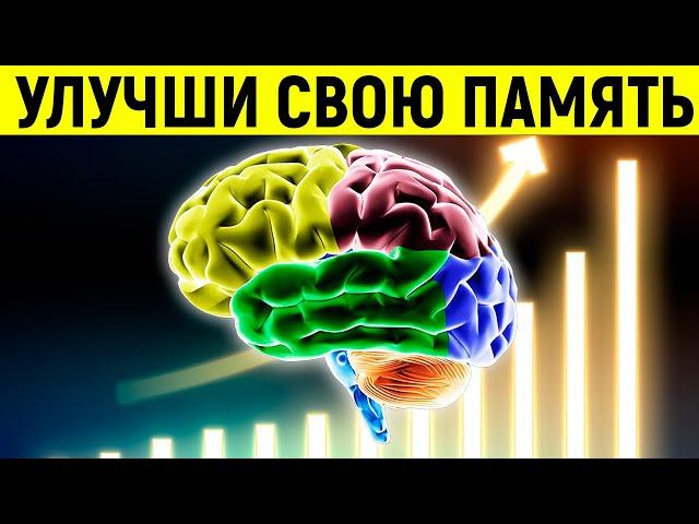 10 Simple Rules That Will Improve Your Memory by 97% | Look and Know