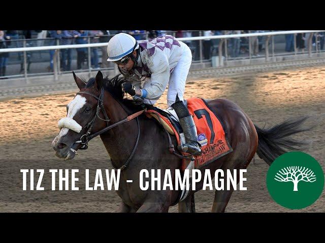 Tiz the Law - 2019 - The Champagne Stakes