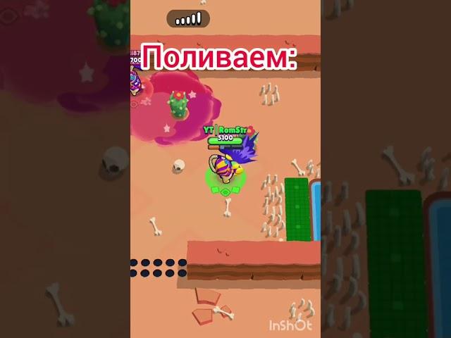 Как вырасти Пабло??|Зайди в комы!|#brawlstars #Пабло #спайк