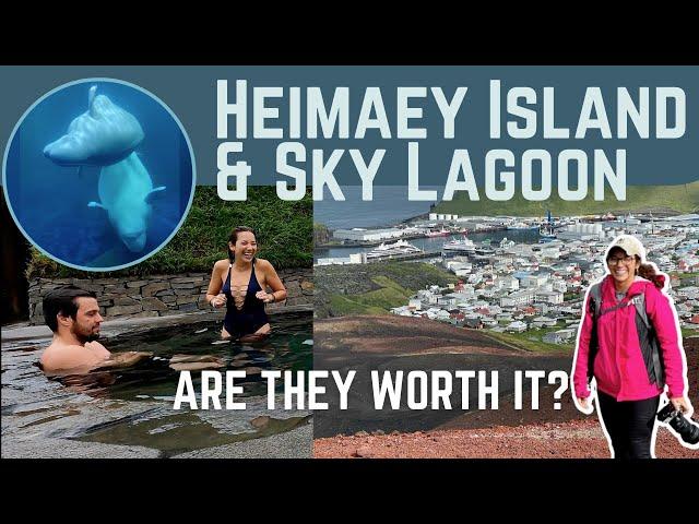 Sky Lagoon SeaLife Sanctuary & Heimaey Island | Are They Worth it? Iceland Reykjavik VLOG