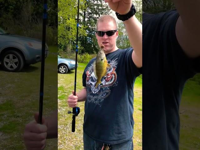 Fishing at American lake. #viral #tiktok #youtubeshorts #reels #fishing #pnw #fun #fyp #video #fish