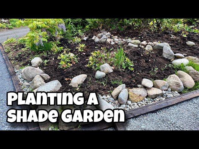 Planting a Shade Garden | PNW Zone 8b
