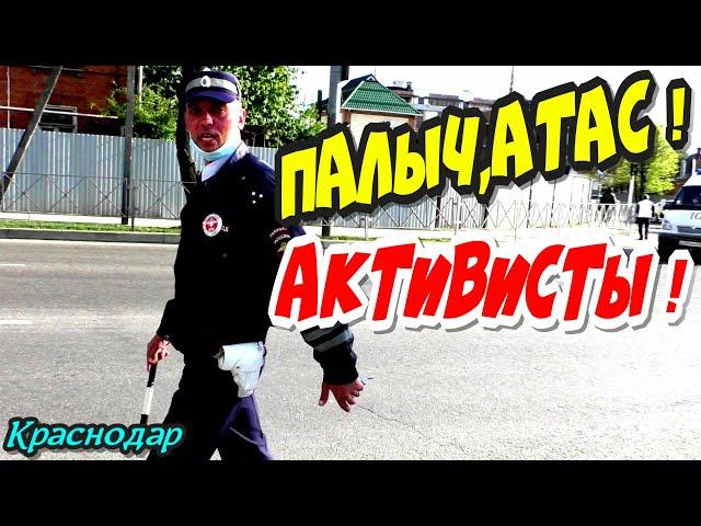 "Палыч,АТАС ! Активисты ! Пластиковые стаканчики ДПС не спасли !" Краснодар