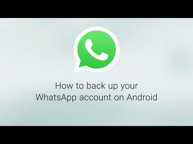 How to Backup your Account on Android | WhatsApp