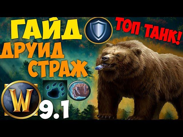 Гайд на Друида Стража (Танк Медведь) WoW 9.1