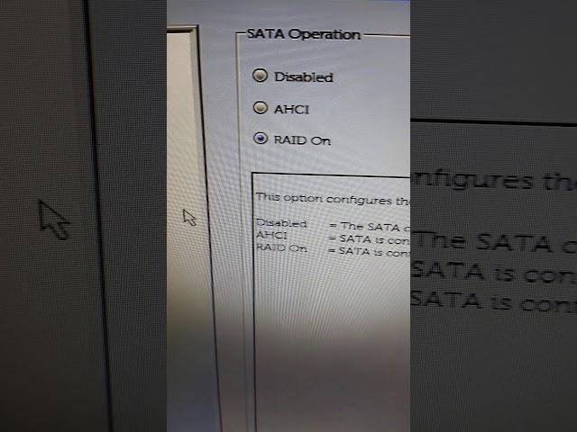 Dell PowerEdge T40 RAID BIOS Setting and Intel Rapid RAID Mode