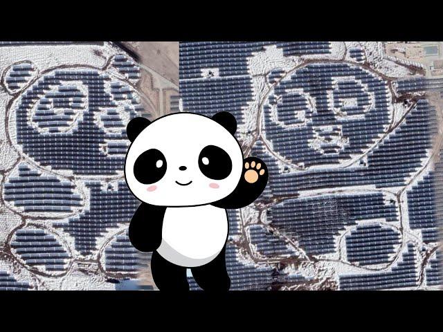 World's Largest Panda Shape Made From Solar Panels